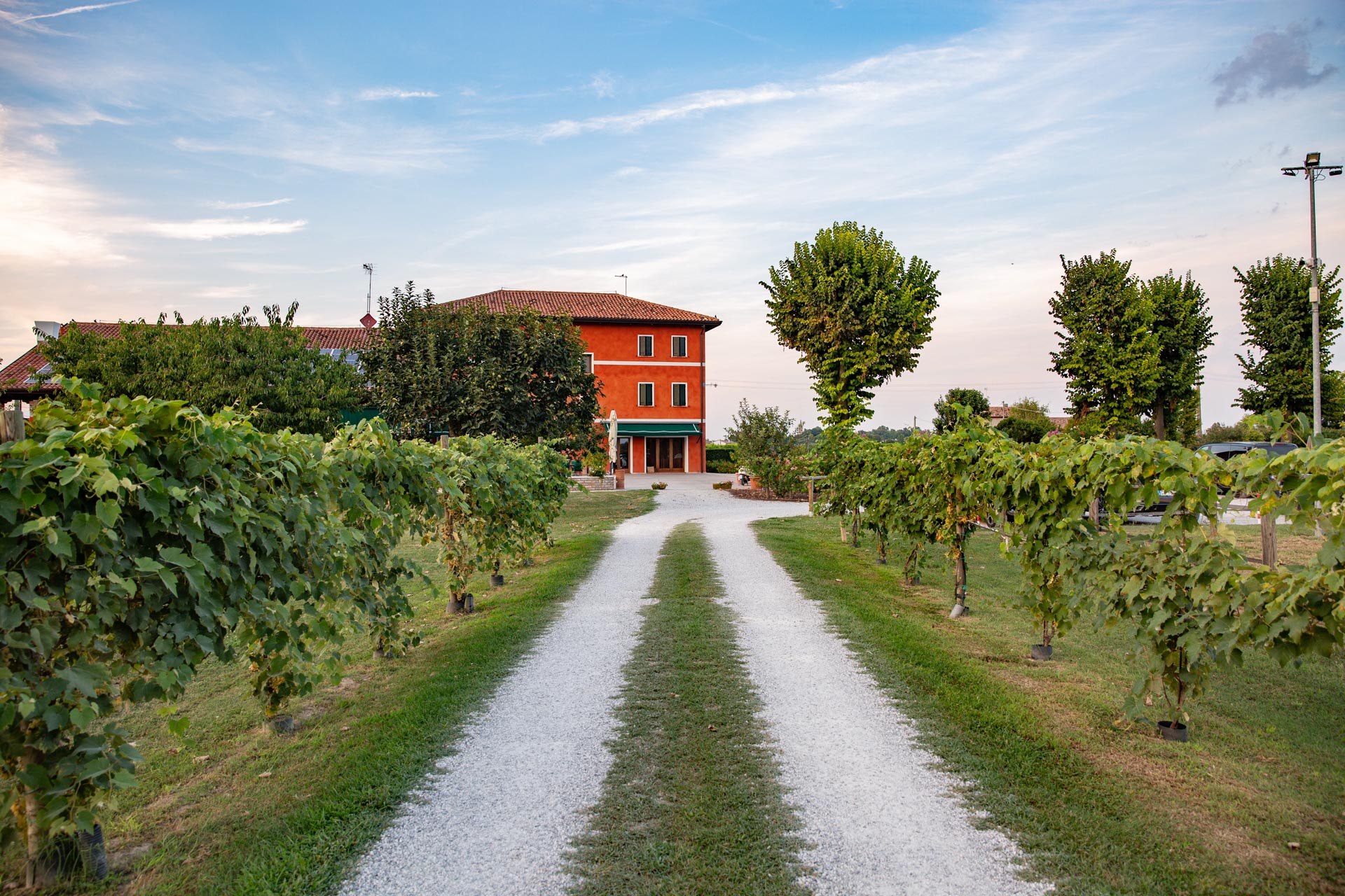 carosello 1 venue.